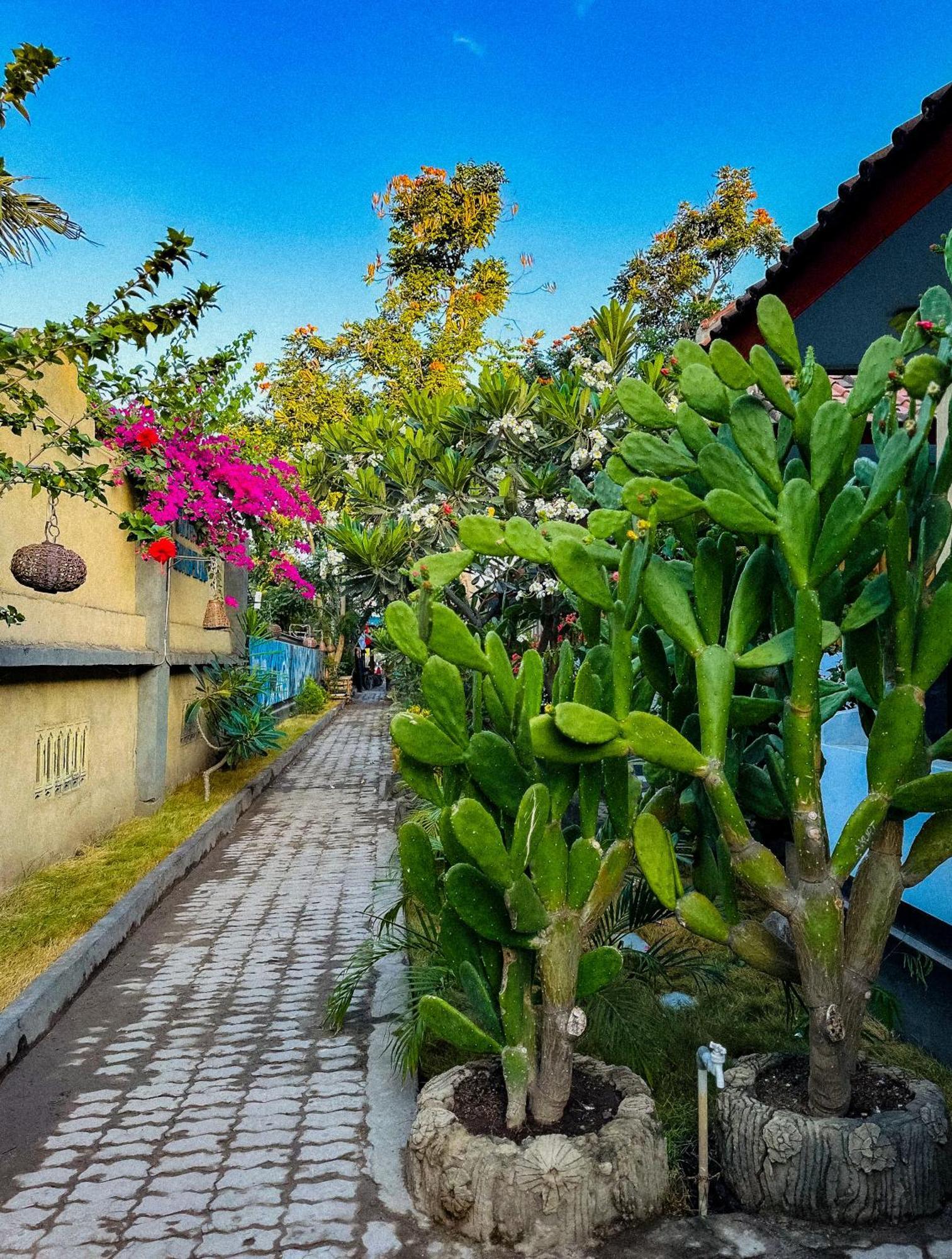 Creative Bungalow Beach Front Джили Трауанган Екстериор снимка