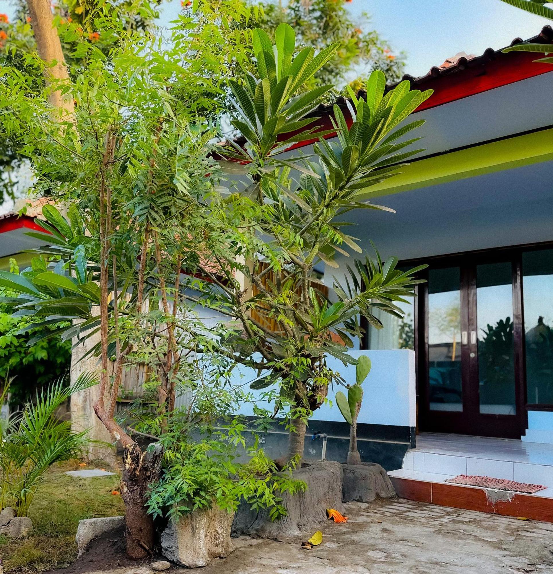 Creative Bungalow Beach Front Джили Трауанган Екстериор снимка